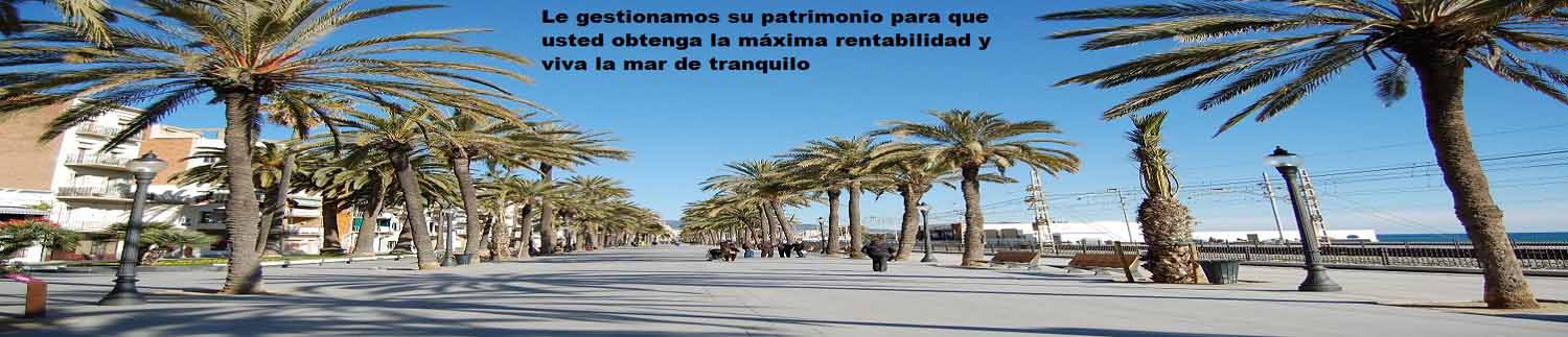  terrenos y solares en Badalona